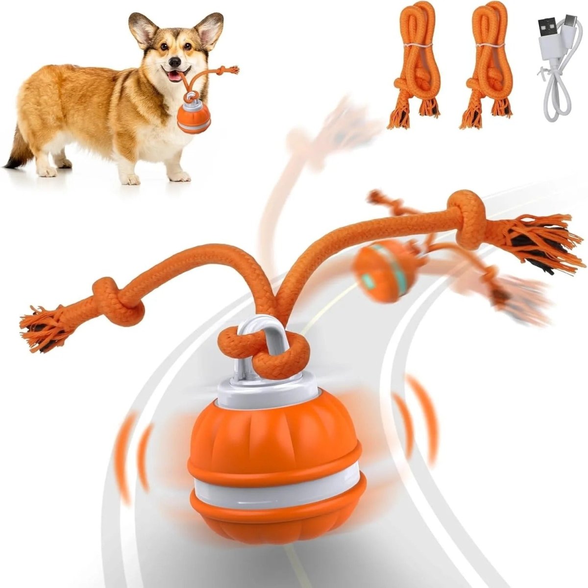 Interactive Pet Rolling Ball Toy USB Rechargeable - Structured DifferentlyInteractive Pet Rolling Ball Toy USB RechargeableNDG3WWMInteractive Pet Rolling Ball Toy USB Rechargeable