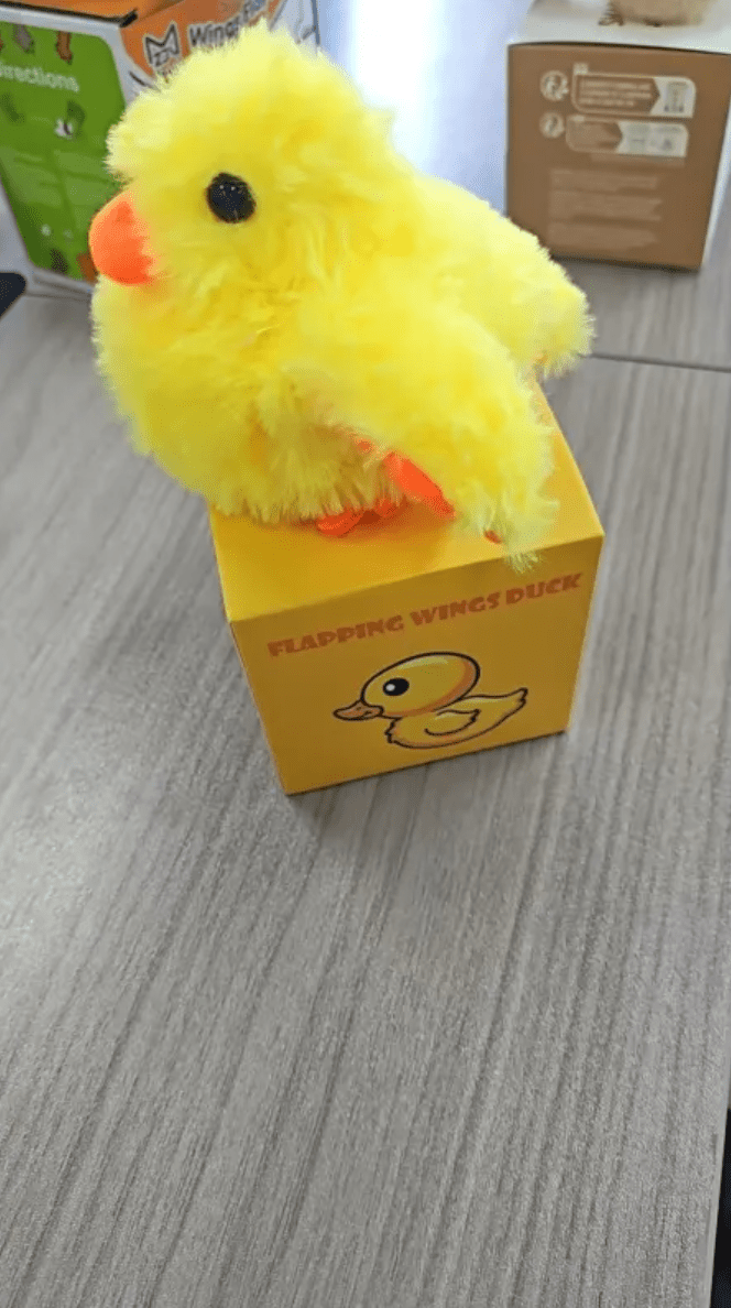 Plush Bird Pet Toy - Structured DifferentlyPlush Bird Pet Toy5JFEYKUTYPlush Bird Pet Toy