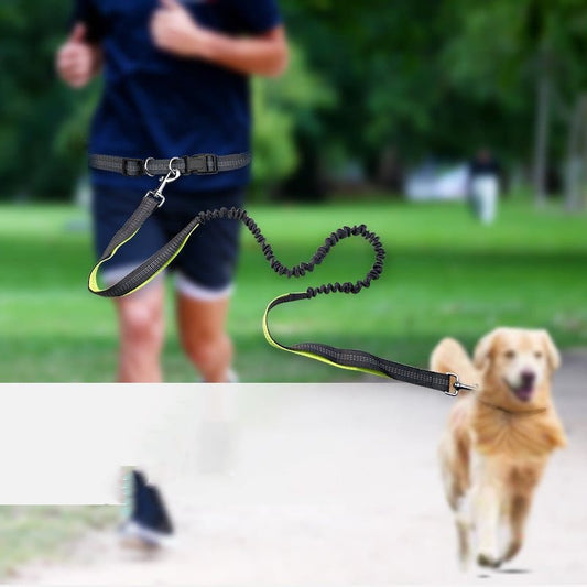 Dog Walking Belt with Detachable Shockproof Leash - Structured DifferentlyDog Walking Belt with Detachable Shockproof Leash1788166975776366593Dog Walking Belt with Detachable Shockproof Leash