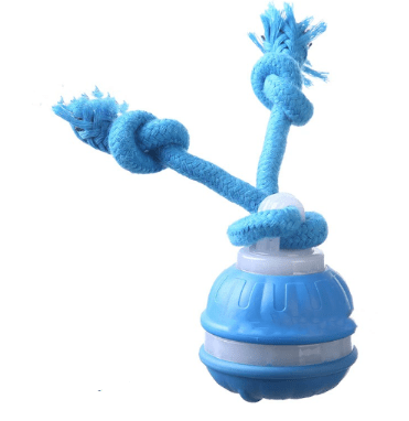 Interactive Pet Rolling Ball Toy USB Rechargeable - Structured DifferentlyInteractive Pet Rolling Ball Toy USB RechargeableTG0PUDIRDInteractive Pet Rolling Ball Toy USB Rechargeable