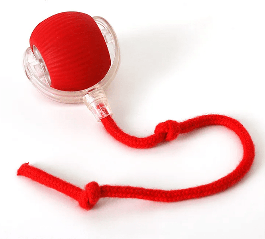 PurrPlay Self - Rolling Cat Toy Ball - Structured DifferentlyPurrPlay Self - Rolling Cat Toy BallDPSHWO29ZPurrPlay Self - Rolling Cat Toy Ball