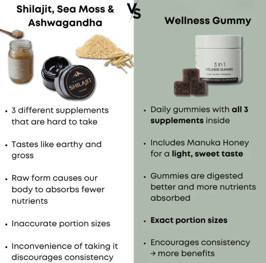 Shilajit 3 - in - 1 Gummies for Men - Structured DifferentlyShilajit 3 - in - 1 Gummies for MenPGNS48ANHShilajit 3 - in - 1 Gummies for Men