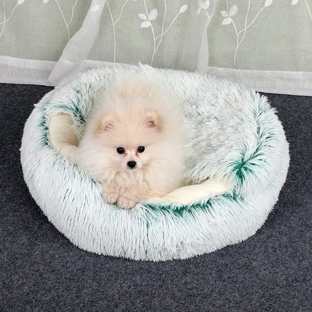 2 - in1 Pet Bed - Structured Differently2 - in1 Pet Bed768580_SLEPPMJ2 - in1 Pet Bed