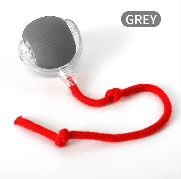 PurrPlay Self - Rolling Cat Toy Ball - Structured DifferentlyPurrPlay Self - Rolling Cat Toy BallFTFSIDIPurrPlay Self - Rolling Cat Toy Ball