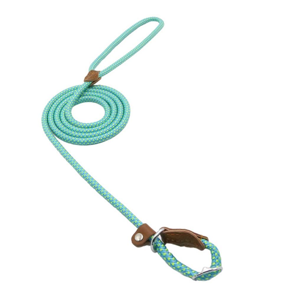 Nylon Pup Set - Structured DifferentlyNylon Pup Set2624838_lj004Nylon Pup Set