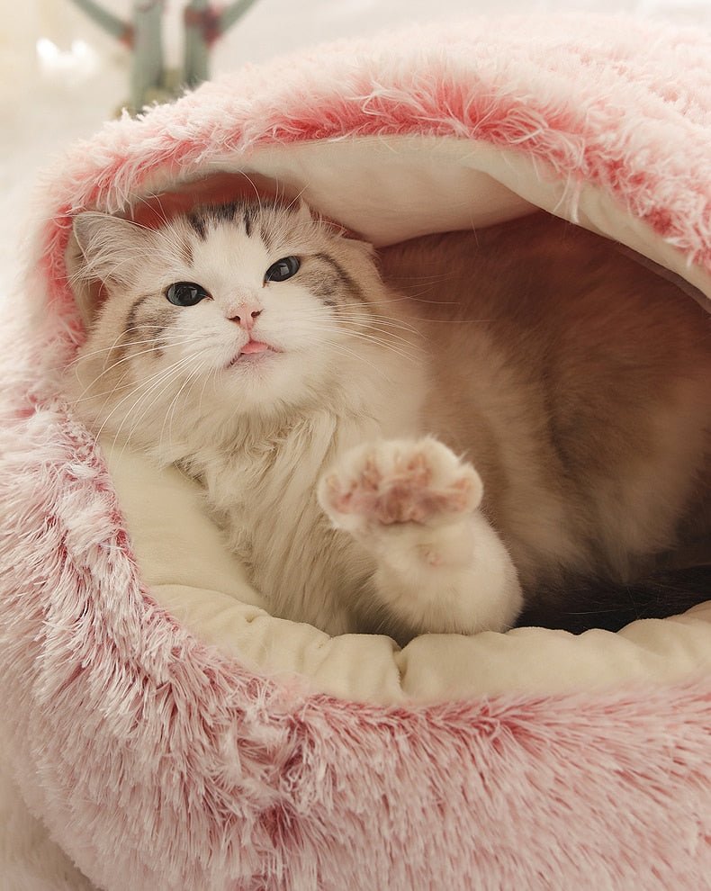2 - in1 Pet Bed - Structured Differently2 - in1 Pet Bed768580_DIGCNLF2 - in1 Pet Bed