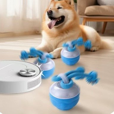 Interactive Pet Rolling Ball Toy USB Rechargeable - Structured DifferentlyInteractive Pet Rolling Ball Toy USB RechargeableVCZ3TC2Interactive Pet Rolling Ball Toy USB Rechargeable