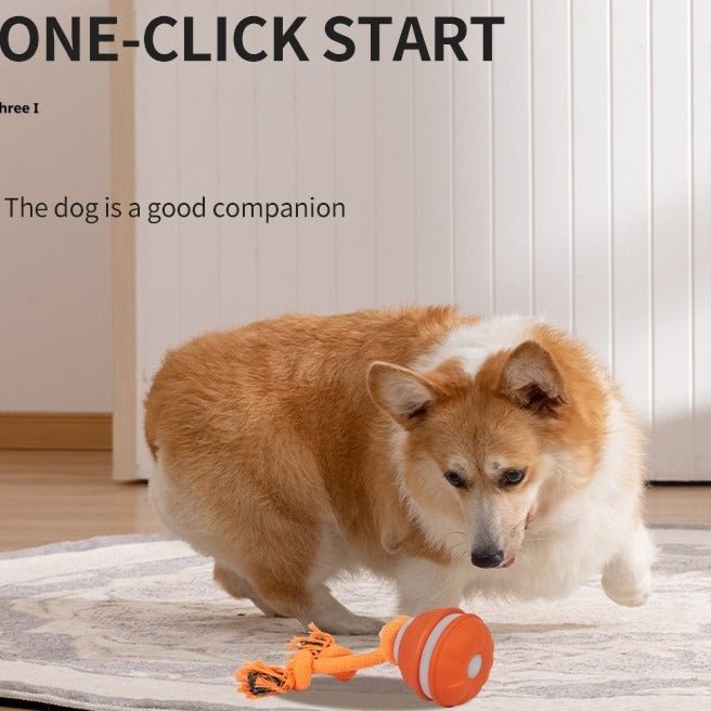 Interactive Pet Rolling Ball Toy USB Rechargeable - Structured DifferentlyInteractive Pet Rolling Ball Toy USB RechargeableVCZ3TC2Interactive Pet Rolling Ball Toy USB Rechargeable