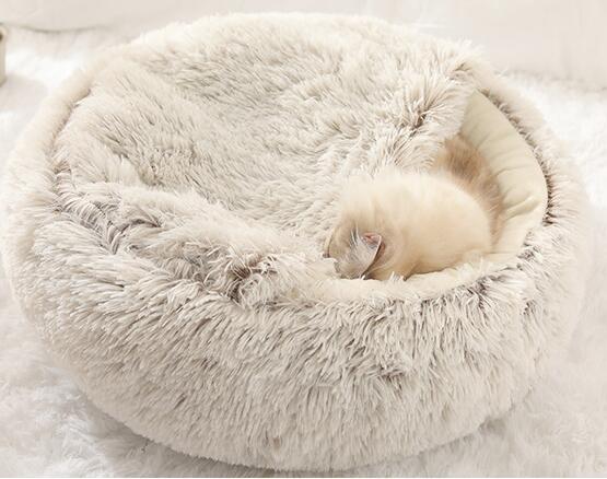 2 - in1 Pet Bed - Structured Differently2 - in1 Pet Bed768580_M5IJ1J62 - in1 Pet Bed