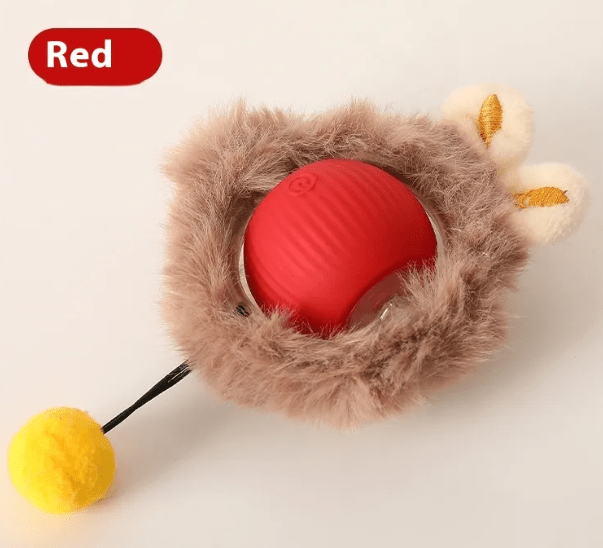 PurrPlay Self - Rolling Cat Toy Ball - Structured DifferentlyPurrPlay Self - Rolling Cat Toy BallQ95NNK7RQPurrPlay Self - Rolling Cat Toy Ball