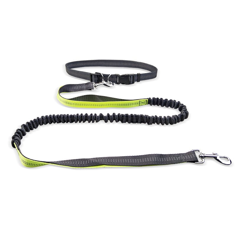 Dog Walking Belt with Detachable Shockproof Leash - Structured DifferentlyDog Walking Belt with Detachable Shockproof Leash1788166975776366593Dog Walking Belt with Detachable Shockproof Leash