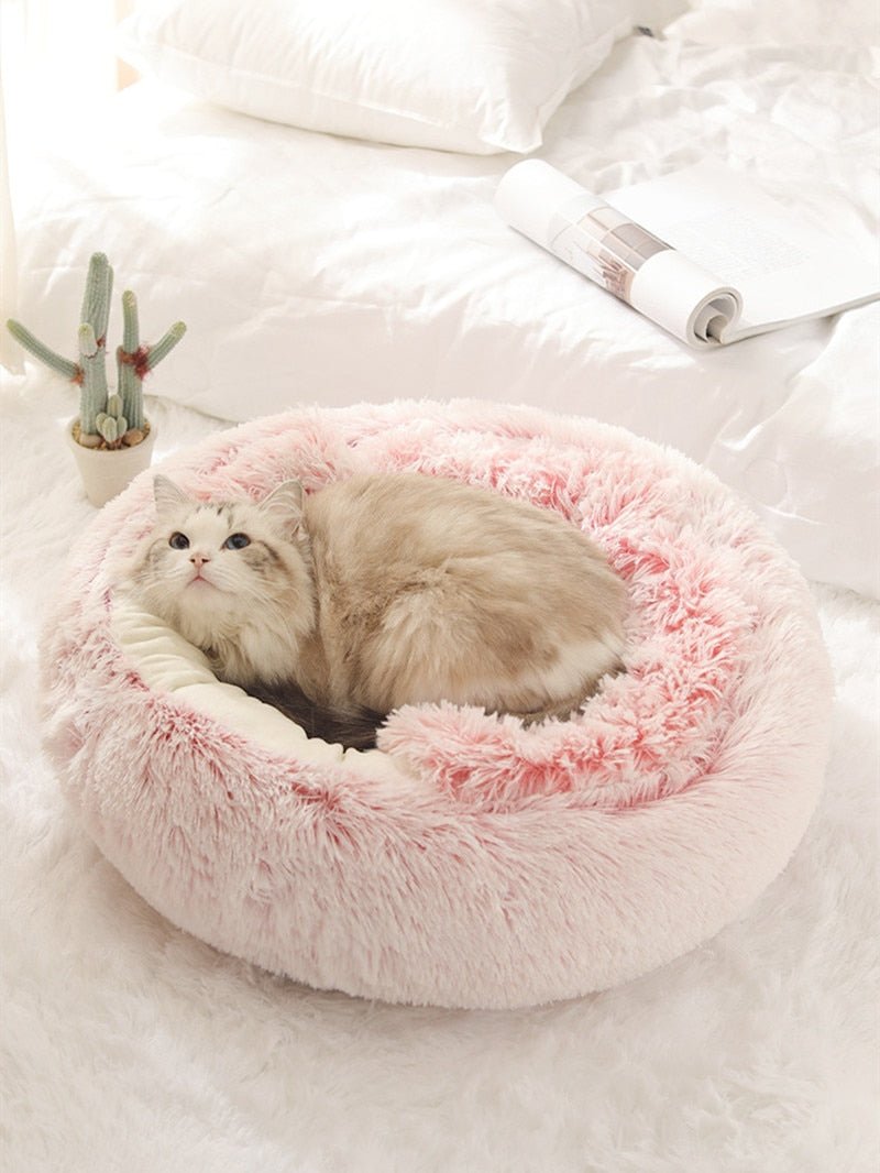 2 - in1 Pet Bed - Structured Differently2 - in1 Pet Bed768580_DIGCNLF2 - in1 Pet Bed