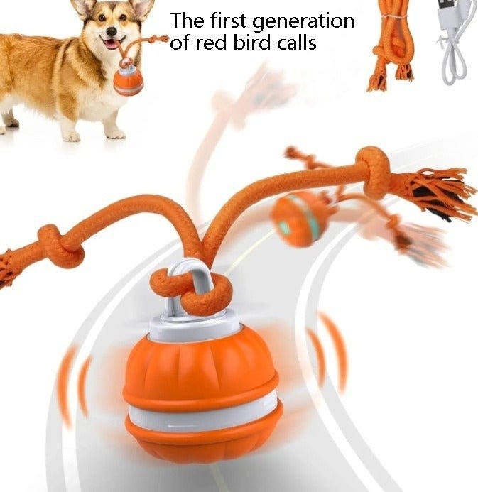 Interactive Pet Rolling Ball Toy USB Rechargeable - Structured DifferentlyInteractive Pet Rolling Ball Toy USB RechargeableVCZ3TC2Interactive Pet Rolling Ball Toy USB Rechargeable
