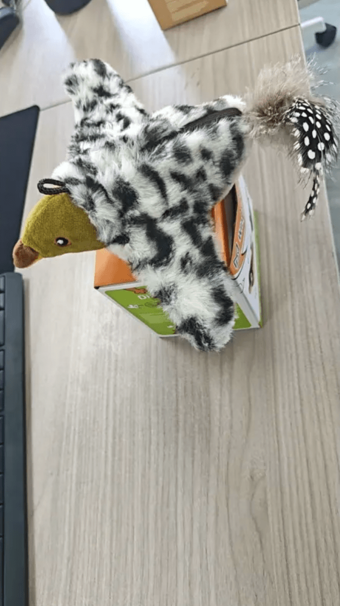 Plush Bird Pet Toy - Structured DifferentlyPlush Bird Pet ToyEHD83GBT6Plush Bird Pet Toy