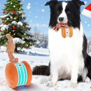 Interactive Pet Rolling Ball Toy USB Rechargeable - Structured DifferentlyInteractive Pet Rolling Ball Toy USB RechargeableRJK2EZNInteractive Pet Rolling Ball Toy USB Rechargeable