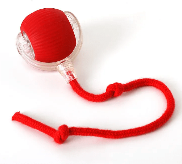 PurrPlay Self - Rolling Cat Toy Ball - Structured DifferentlyPurrPlay Self - Rolling Cat Toy BallVWF6S9U8CPurrPlay Self - Rolling Cat Toy Ball