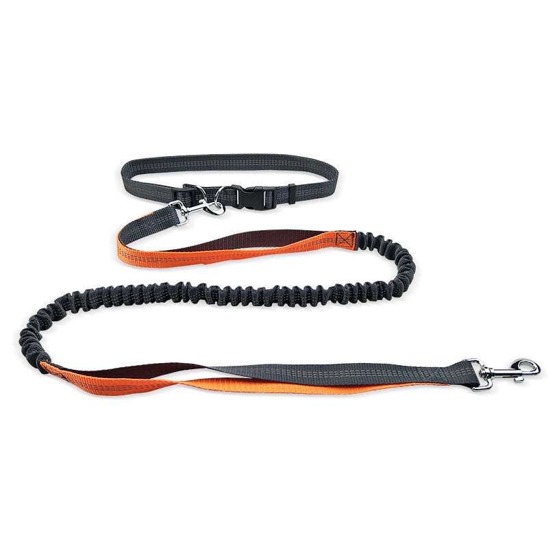 Dog Walking Belt with Detachable Shockproof Leash - Structured DifferentlyDog Walking Belt with Detachable Shockproof Leash1788166975776366595Dog Walking Belt with Detachable Shockproof Leash