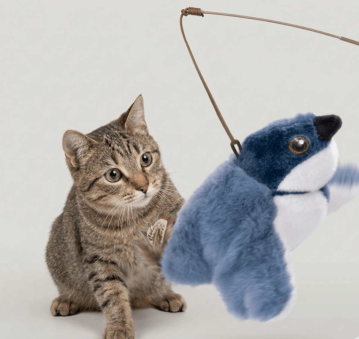 Flapping Bird Cat Toy - Structured DifferentlyFlapping Bird Cat Toy34JYNMW5TFlapping Bird Cat Toy