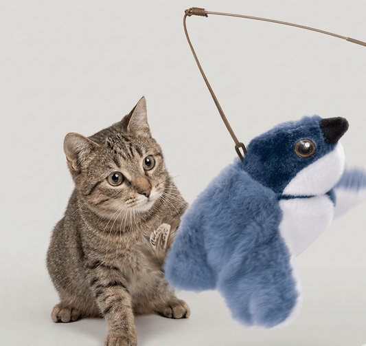 Flapping Bird Cat Toy - Structured DifferentlyFlapping Bird Cat Toy34JYNMW5TFlapping Bird Cat Toy