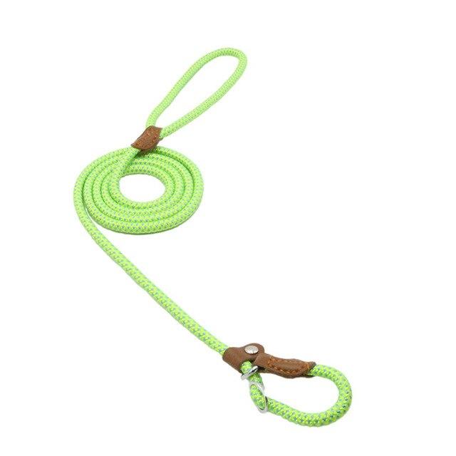Nylon Pup Set - Structured DifferentlyNylon Pup Set2624838_lj006Nylon Pup Set