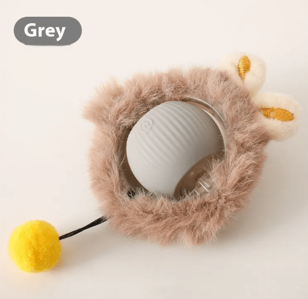 PurrPlay Self - Rolling Cat Toy Ball - Structured DifferentlyPurrPlay Self - Rolling Cat Toy BallQSYHY28MPPurrPlay Self - Rolling Cat Toy Ball